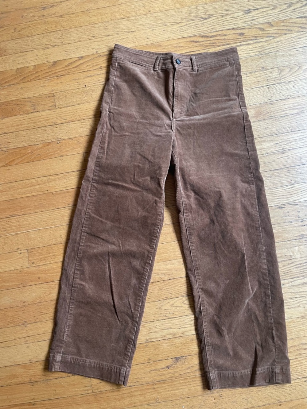 Everlane Sailor Corduroy Pant